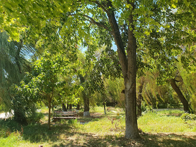 21 9, 7629 Търновци