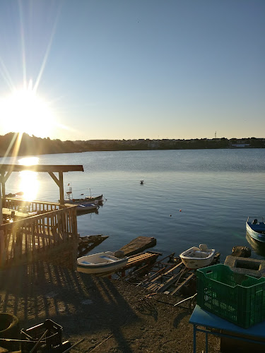 Comentarii opinii despre Нестинарка