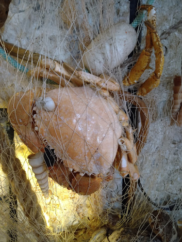 Comentarii opinii despre Бистро Лaгунa