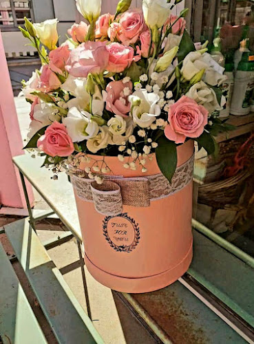 Opinii despre Цветен свят - Нова Загора în Нова Загора - Гастрономия и хотелиерство