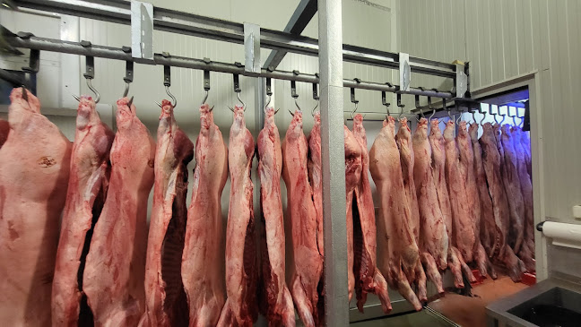 731 23, 9808 Шумен