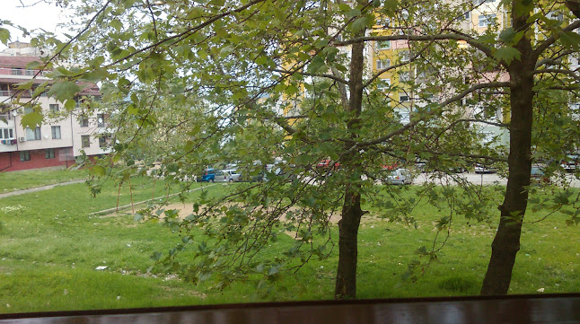 Comentarii opinii despre ИРИС-ГЮЛШЕН КАЛЕДЖИ