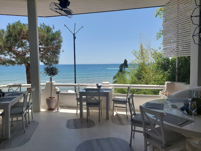 Unnamed Road, 8256 Елените