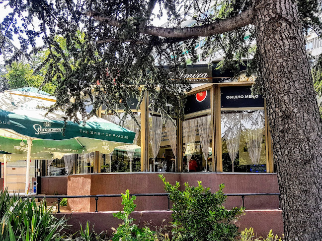 Amira fast food lunch