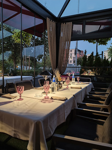 Comentarii opinii despre Musoni