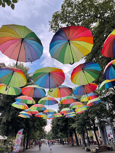 Comentarii opinii despre Бохем