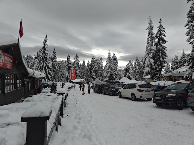 Рибен ресторант Алпина