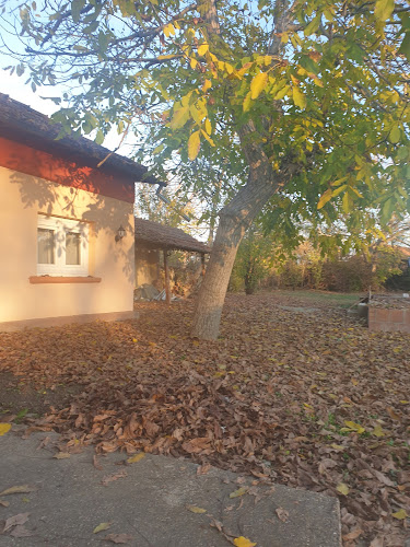 Ресторант " Парадайс" - Гастрономия и хотелиерство