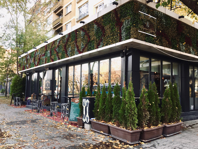 Comentarii opinii despre RestoBar Giardino