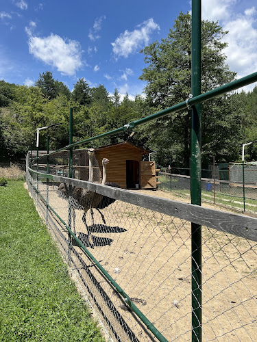 Comentarii opinii despre Райски кът "Християна"