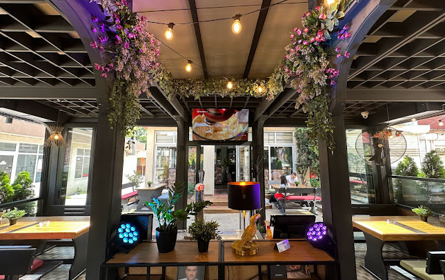 Bolero Bar & Dinner - Гастрономия и хотелиерство