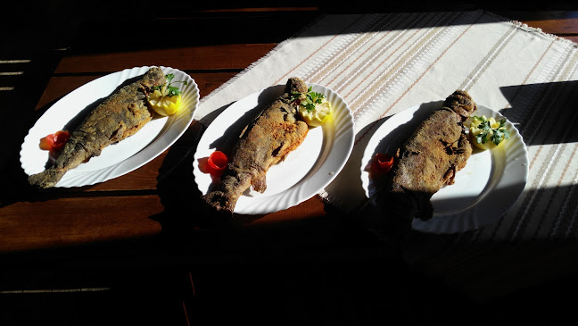 Рибен ресторант Алпина - Добринище