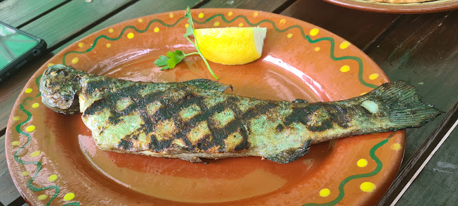 Рибен ресторант Алпина - Гастрономия и хотелиерство