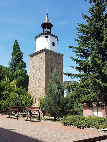 ул. Стефан Стамболов №36, 5370 Дряново