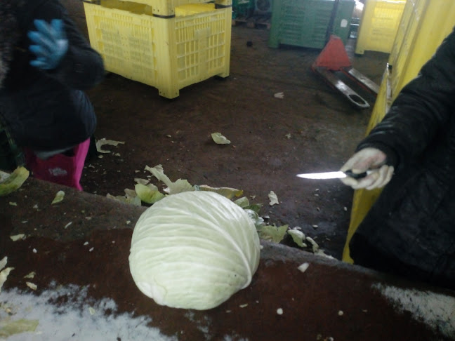 8004 4, 4417 Огняново