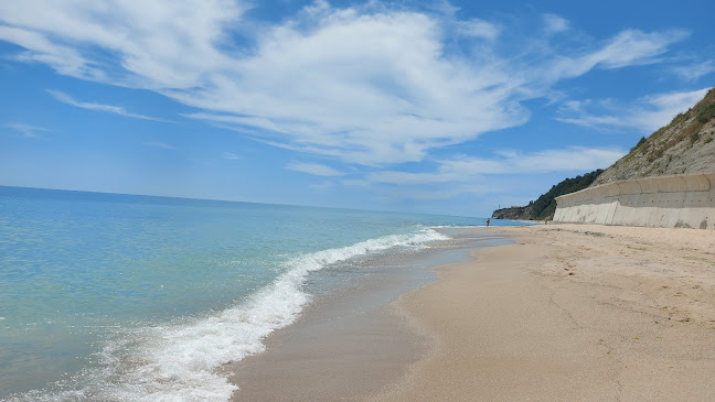 1.Tsar Ivailo Str, 9101 Бяла