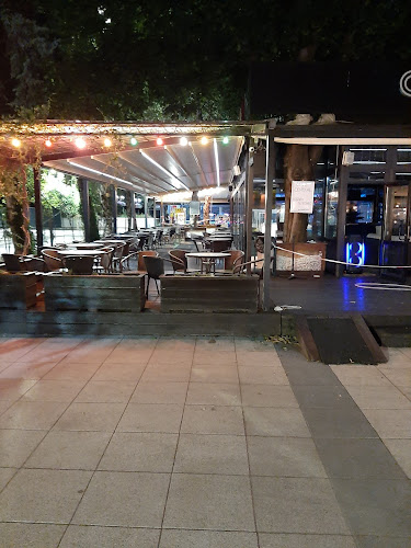 Централ Монтана