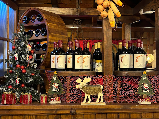 Comentarii opinii despre Механа Мелник