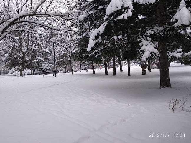 Фреш бар кафе "CoffeeIN" - Гастрономия и хотелиерство