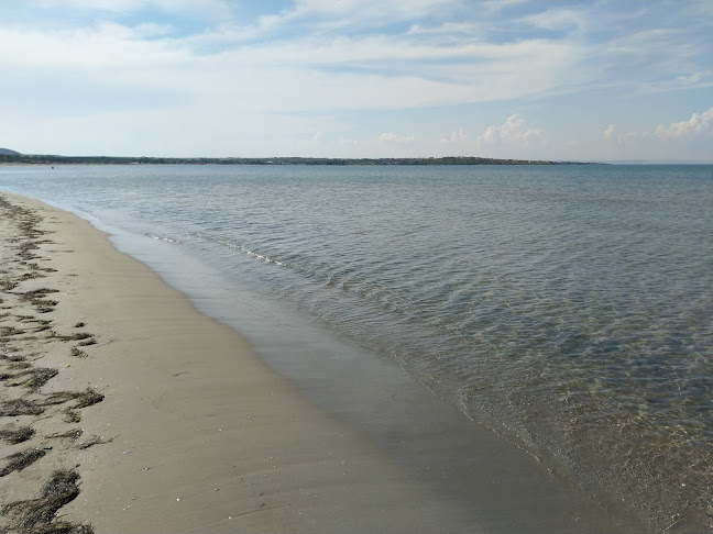 Cattedrale Chiringuito - Гастрономия и хотелиерство