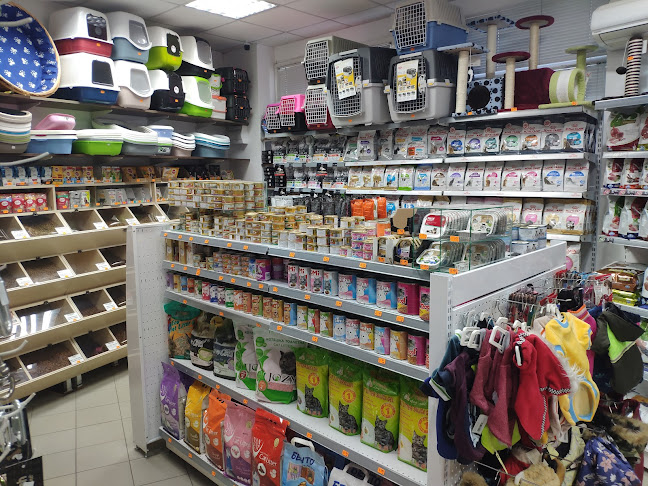 Comentarii opinii despre Зооветмаркет