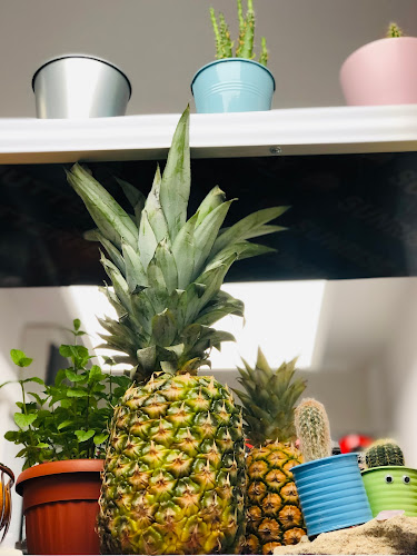 Фреш бар Fresh Mare - Гастрономия и хотелиерство