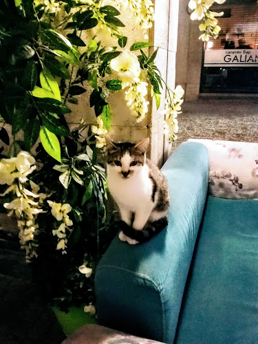 Кафе "Читалището" - Търговище