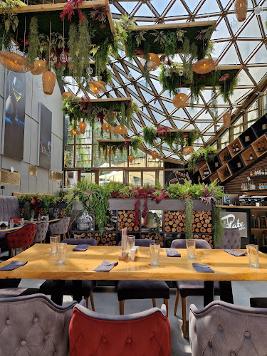 Plate Bar & Restaurant - Гастрономия и хотелиерство
