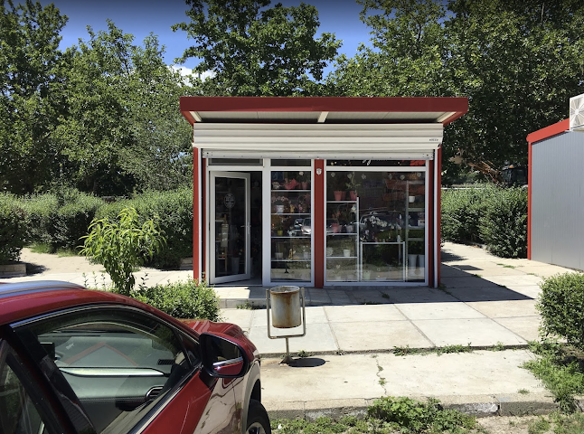 Цветя и Букети - Yovita Flowers