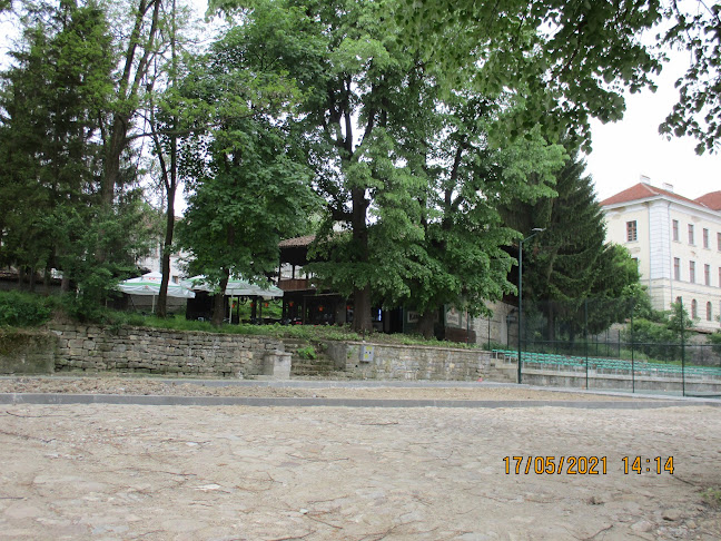 ул. „Доктор Христо Момчилов“ 9, 5070 Център, Елена, България