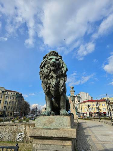 София център, бул. „Княгиня Мария Луиза“ 62, 1202 София