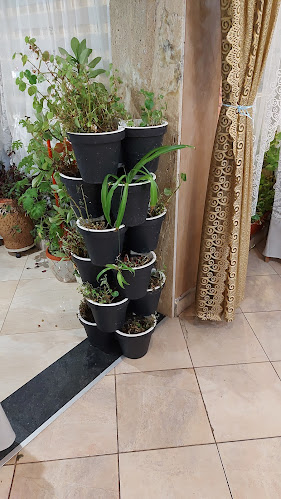 Ресторант Чайка Радомир - Радомир