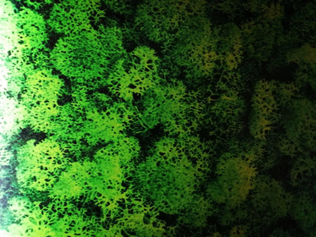 Cocktail bar MONDO - Варна