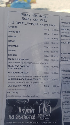 Нестинарка, ул. „Нестинарка“, 8260 Царево