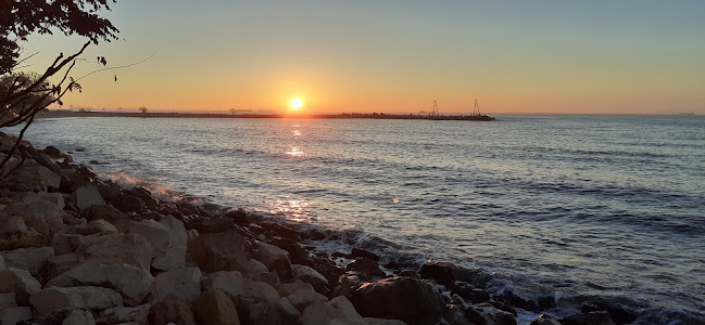 Opinii despre Трета буна în Варна - Гастрономия и хотелиерство