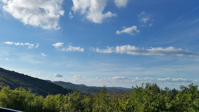 Comentarii opinii despre MOTEL"THE GOAT HORN"