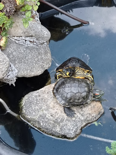 кв. Опълченски, ул. „Христо Ботев“ 124-Е, 6001 Стара Загора