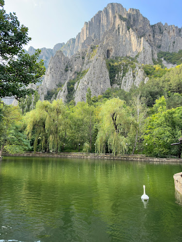 Чайка ресторант - Гастрономия и хотелиерство