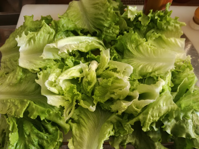 The Chicken Guy-Mall Markovo Tepe