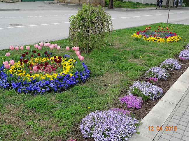 РЕСТОРАНТ ВЕРСАЙ - Гастрономия и хотелиерство