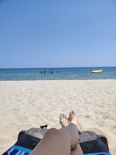 ADORO BEACH - Гастрономия и хотелиерство