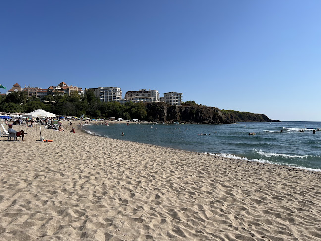 Пицария "Куцата Медуза"