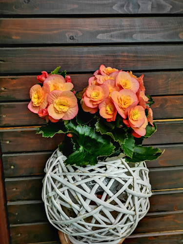 Цветарски магазин „Подари цвете“ - Гастрономия и хотелиерство