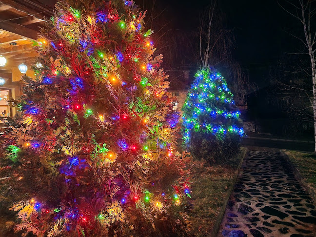 Ресторант Приятели - Сапарева баня