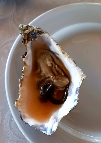 Капитан Кук - Варна