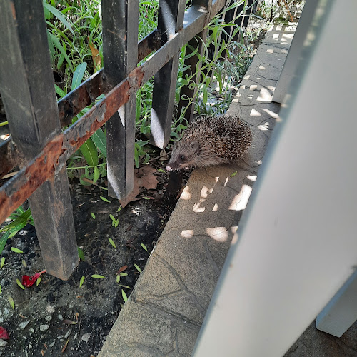 ж.к. Христо СмирненскиЗападен, ул. „Равнища“ 4, 4001 Пловдив