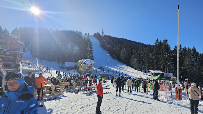 Restaurant "FIS" - Гастрономия и хотелиерство