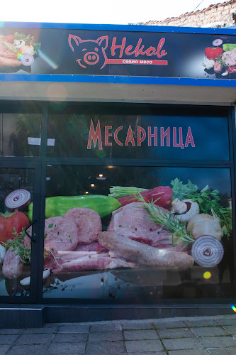 Център, ул. „Цар Петър“ 9, 3600 Лом