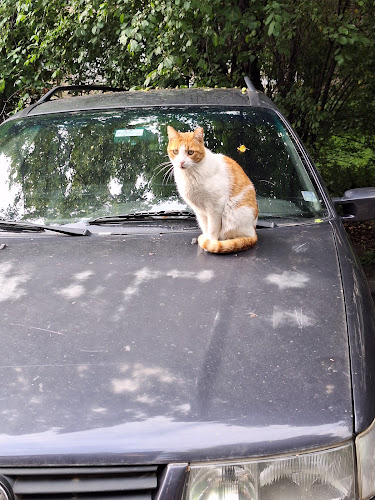 ж.к. Сухата река 2, ж.к. Сухата река, 1517 София