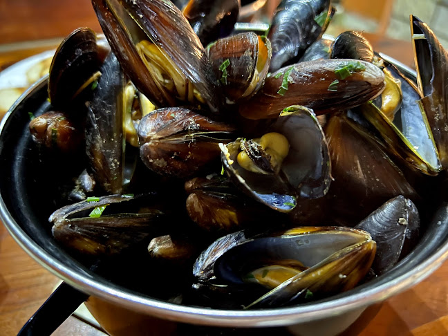 Opinii despre Морско конче în Българево - Гастрономия и хотелиерство